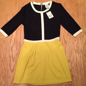 NWT Colorblock Dress